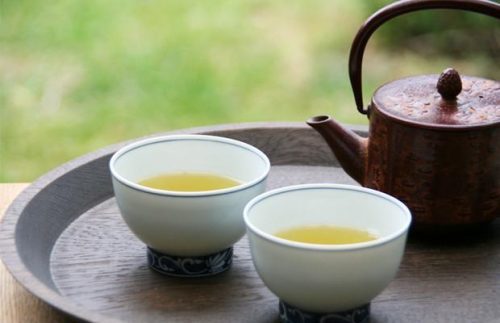 Taste Makinohara Tea, the Finest Tea in Japan