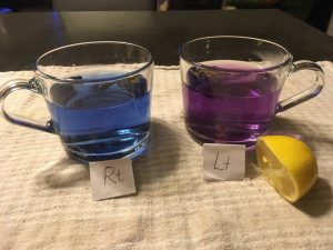 Butterfly Pea Blue Tea