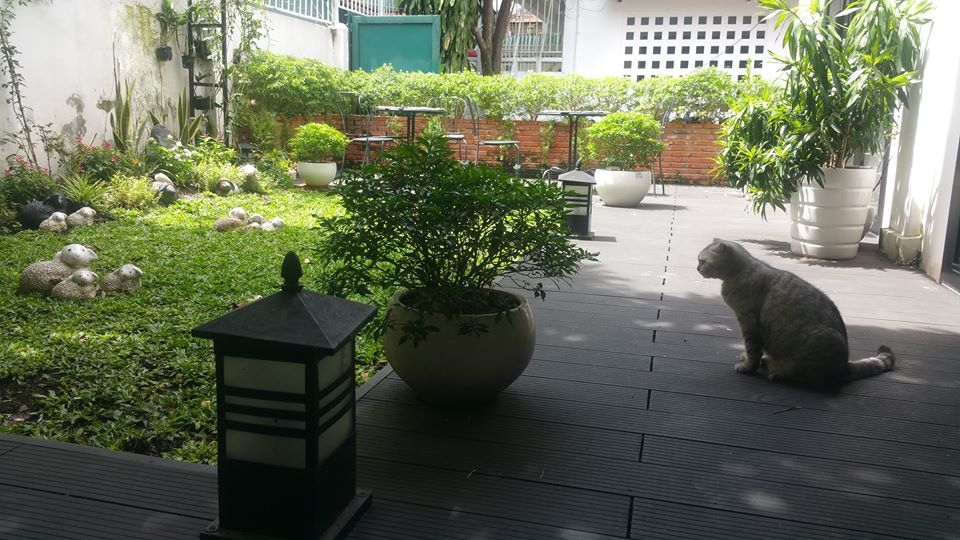 Gourmet coffee made from civet droppings