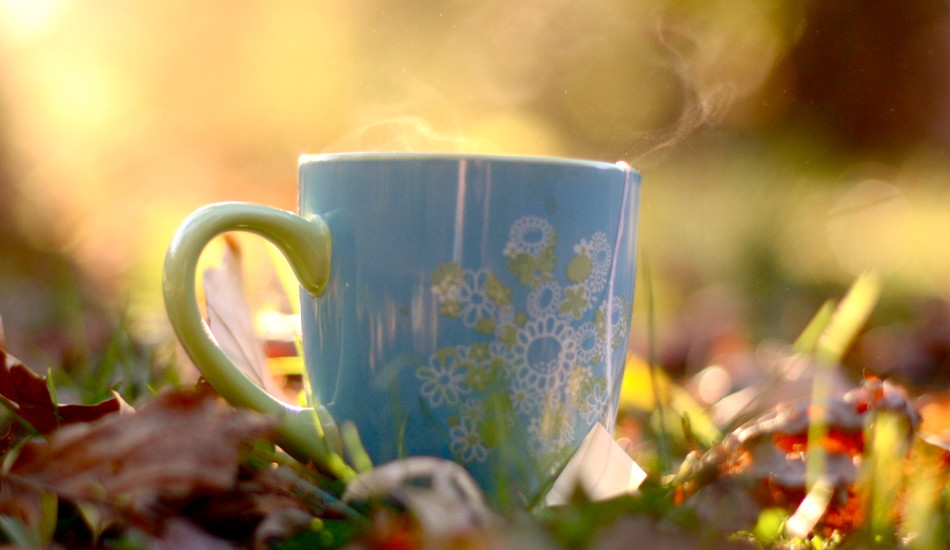 3 Best Coffee Alternatives