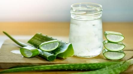 Here's why you should start use aloe vera