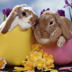 The Coming of an Easterner Is Prophesied in Centuries