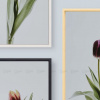 Canvas Painting flower tulips