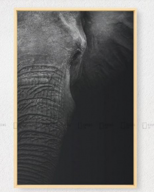 Decorative Wall Painting of Animals