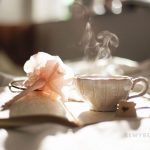 Solving The Difficulties Of Falling Asleep And Insomnia (1)