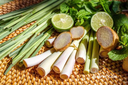 Home Remedies To Cure Ringworm