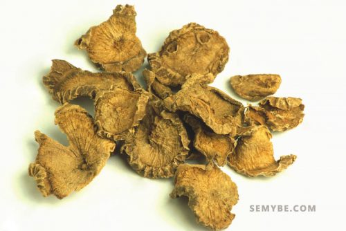 Harpagophytum Procumbens