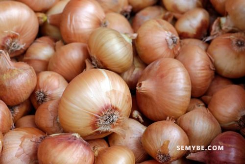 The miraculous benefits of onions
